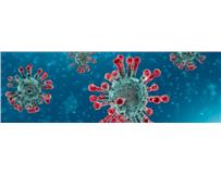 Coronavirus: Não existe evidência de qualquer tipo de contaminação através da ingestão de comida 