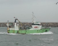 Calypso